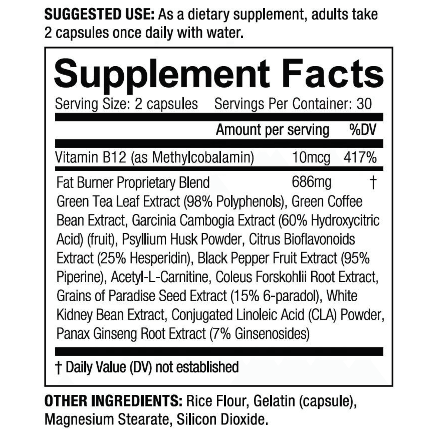 Burn - Fat Burner
