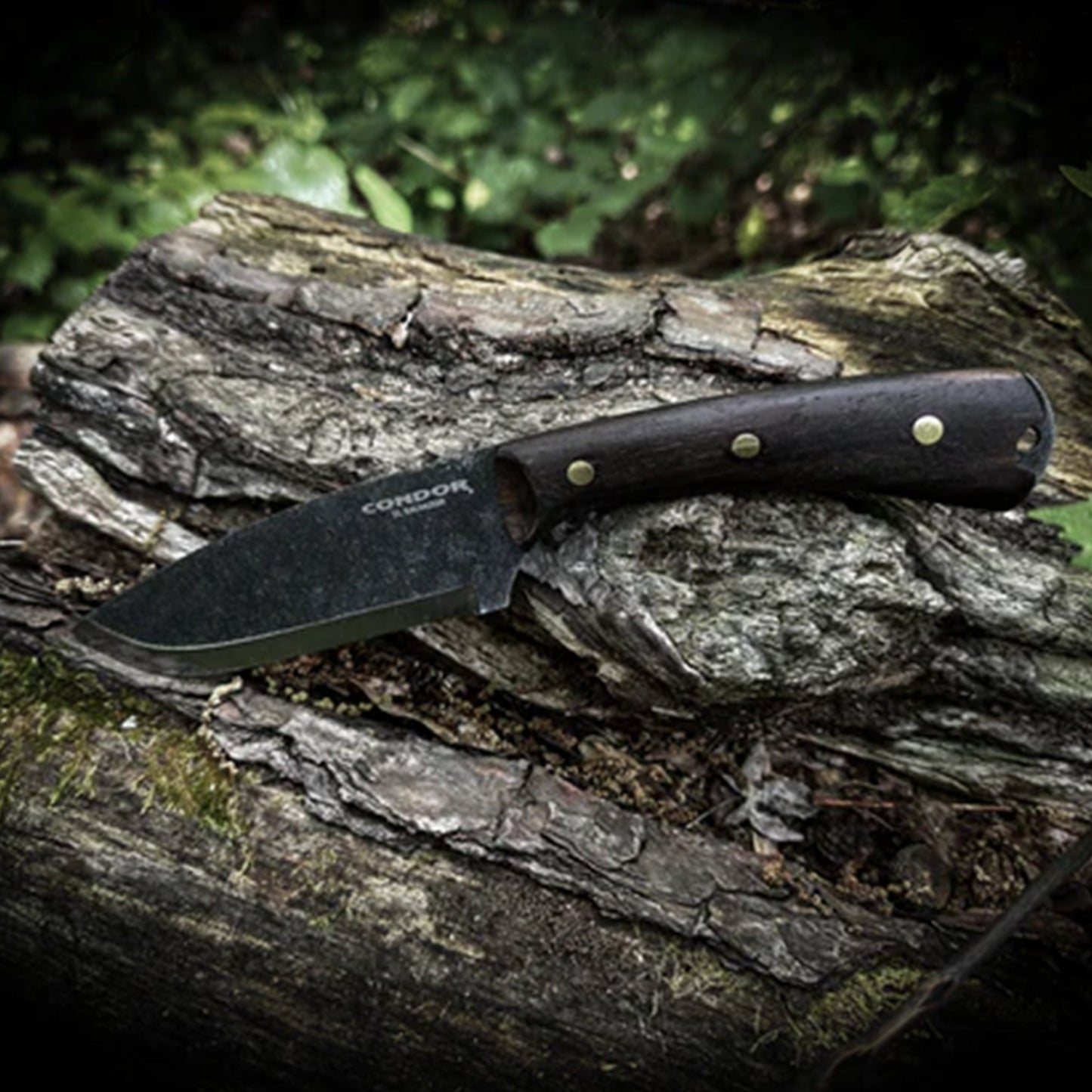 CONDOR SIP KNIFE–LIMITED EDITION